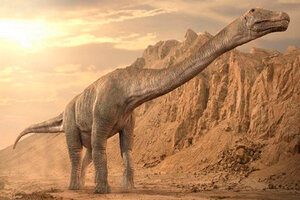 India: hallan 256 huevos fósiles de titanosaurios, uno de los dinosaurios más grandes que existieron