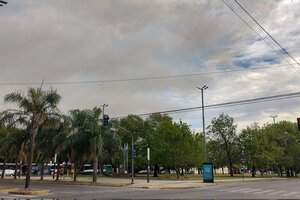 Los bomberos intentan controlar un gran incendio en la Reserva Natural Punta Lara