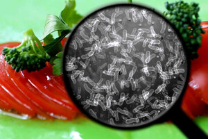 Salmonella y shigella: autoridades sanitarias explican cómo evitar las bacterias (Fuente: AFP)