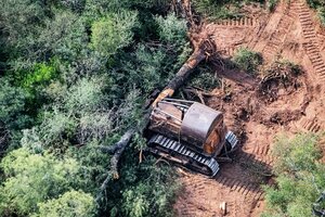 "La deforestación y el mal manejo de los cultivos" contribuyen a la sequía, advirtió el viceministro de Ambiente
