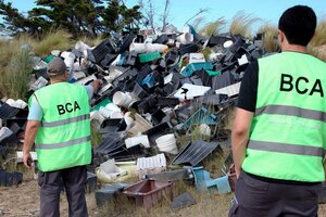 Península Valdés: continúa la limpieza de residuos de la industria pesquera en las playas (Fuente: Télam)