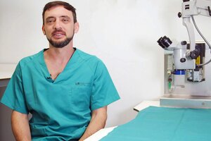 Trasplante intestinal: un aporte de científicos del Conicet hace historia en los hospitales de España