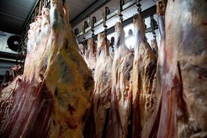 Allanaron un frigorífico en Berazategui por los casos de intoxicación por presunto consumo de carne y achuras. Imagen: Télam