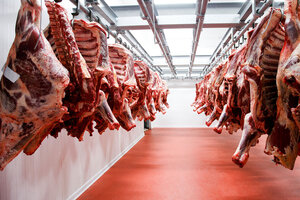 Sin techo: advierten que el precio de la carne podría dispararse un 40 por ciento