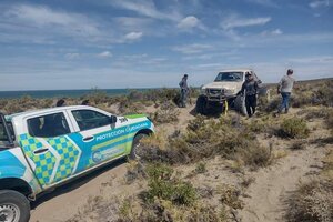 Chubut: pescadores encontraron restos de un hombre en el interior de un cazón