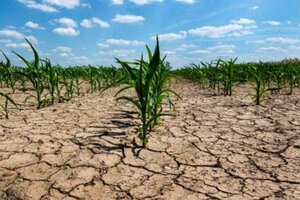 Los créditos para productores afectados por la sequía ya superaron los $5.000 millones