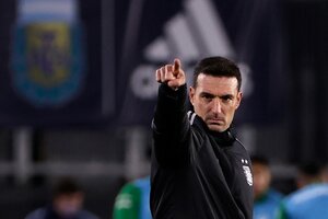 La AFA confirmó que Lionel Scaloni seguirá siendo el director técnico de la Selección 