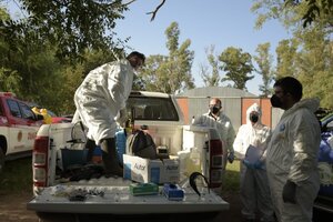 Gripe aviar: informan 4 nuevos casos en Córdoba y ya suman 24 los positivos en todo el país