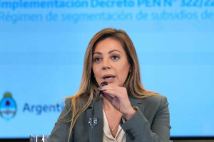 Flavia Royón sobre la intervención de Edesur: "No es una estatización" (Fuente: NA)