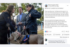 Anahí Benítez: Cuando María Eugenia Vidal dijo que Bruno, el rastreador con el que metieron preso a un inocente, era "el Messi de los perros"