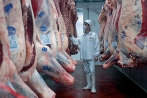 Caída en la exportación de carne