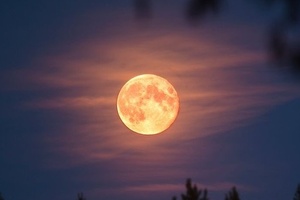 La luna rosa es una tradición del hemisferio norte. Imagen: @tweetsdelunas.