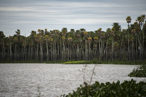 Nuevo Parque Nacional: Laguna El Palmar, en Chaco, se suma al sistema de áreas protegidas