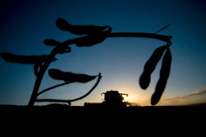El nuevo dólar agro aportará 6000 millones (Fuente: Alejandro Elías)