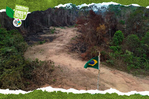 La explotación de la Amazonia: de la tala para la supervivencia a la búsqueda de productividad (Fuente: AFP)