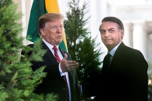 Trump y Bolsonaro, hermanados por un futuro comprometido a nivel judicial. (Fuente: AFP)