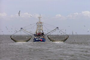Menor actividad pesquera frente a 2022