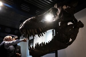 Polémica por la subasta de un esqueleto ensamblado de tiranosaurio rex en Suiza