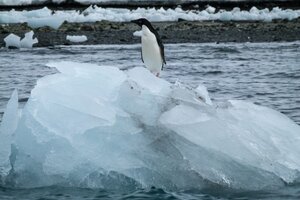 Científicos advierten que el calentamiento global aceleró el deshielo de glaciares en la Antártida (Fuente: Instituto Antártico Chileno)