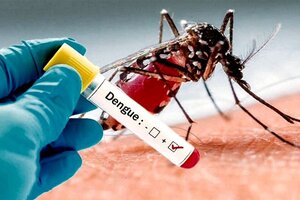 La vacuna contra el dengue podría comenzar a aplicarse en el segundo semestre en el país.
