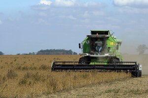 A pesar de la sequía, la inversión en maquinaria agrícola sigue en pie (Fuente: AFP)