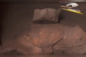 Brasil: hallaron un fósil humano de casi 12.000 años de antigüedad (Fuente: TV Anhanguera)