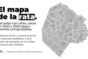 Crearon el "Mapa de la Rata", para identificar en qué escuelas porteñas hay roedores