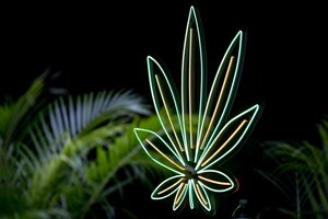 Colombia cada vez más cerca de la despenalización del uso recreativo de cannabis en adultos (Fuente: AFP)