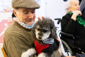 Permitirán mascotas en geriátricos porteños para convivir con los adultos mayores 