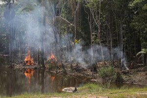 Brasil redujo la deforestación en la Amazonia durante abril (Fuente: AFP)