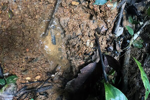 Colombia mantiene la búsqueda de cuatro niños desaparecidos en la selva amazónica (Fuente: AFP)