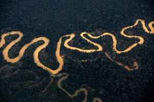 Deforestación en tierra indígena yanomami cae un 95% en los primeros meses del año (Fuente: AFP)