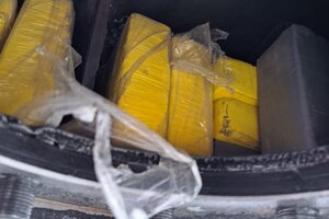 Un cargamento de cocaína entre bananas (Fuente: NA)