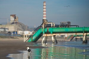 Otra masiva intoxicación por la contaminación en el Chernóbil chileno   (Fuente: AFP)