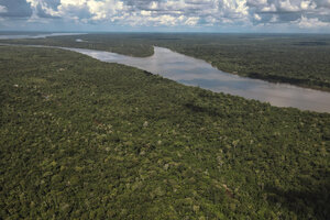Retrocede la deforestación en la Amazonía brasileña (Fuente: EFE)