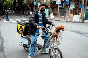 ¿Mascotas perdidas? China encontró la solución con los "detectives de perros" (Fuente: EFE)