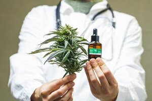 Por primera vez Catamarca aplicó la Ley de Cannabis Medicinal