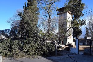 Zonda en Mendoza: dos muertos, árboles caídos, cortes de luz y numerosos daños (Fuente: Télam)