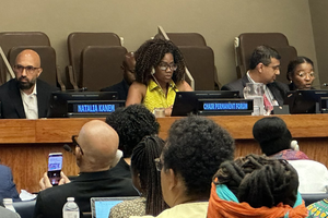 Por la democratización del Foro Permanente de las Naciones Unidas sobre los Afrodescendientes y por las Reparaciones