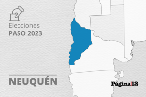Resultados hoy PASO 2023 en Neuquén: quién ganó y el mapa con todos lo datos