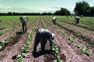 Paritarias: la UATRE acordó un aumento del 26% (Fuente: Télam)