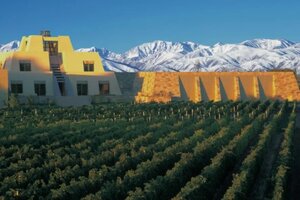 Mendoza: un turista brasileño cayó desde la terraza de una bodega y se encuentra grave (Fuente: Catena Zapata)