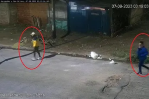 Lanús: un jubilado sacó a pasear a su perro y lo mataron a puñaladas (Fuente: Captura de vídeo )