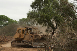 Tierra roja y desmontada: tala ilegal de árboles en Misiones (Fuente: Télam)