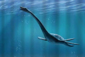 Chubut: descubrieron un esqueleto casi completo de un reptil cuello largo que convivió con los dinosaurios