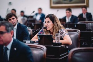 La diputada Lourdes Ortiz denunció sexismo por parte de Martín Menem 
