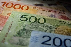 Bono de $20.000 para desocupados: cuándo se cobra y a quiénes le corresponde