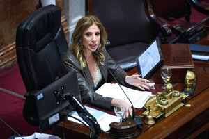 El Senado aprobó el pliego de Ana María Figueroa para que siga siendo camarista 