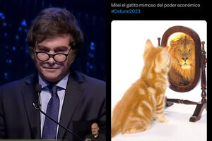 De Milei gatito mimoso a derecho a réplica, los mejores memes del debate presidencial