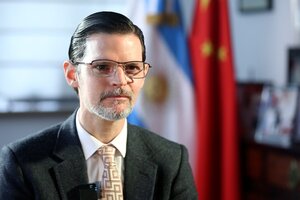 Para Vaca Narvaja ningún modelo de desarrollo argentino se puede pensar excluyendo a China  (Fuente: NA)